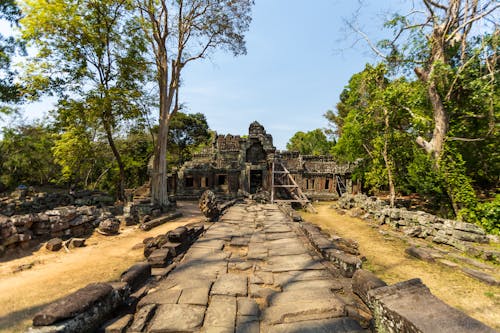 abide, ağaçlar, angkor wat içeren Ücretsiz stok fotoğraf