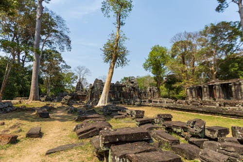 Ruins of a Temple at the Angkor Wat, Siem Reap, Cambodia