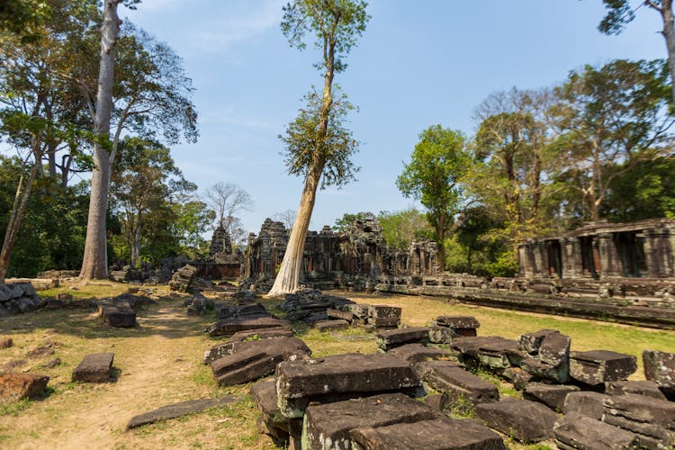 Ruins Of A Temple At The Angkor Wat, Siem Reap, Cambodia