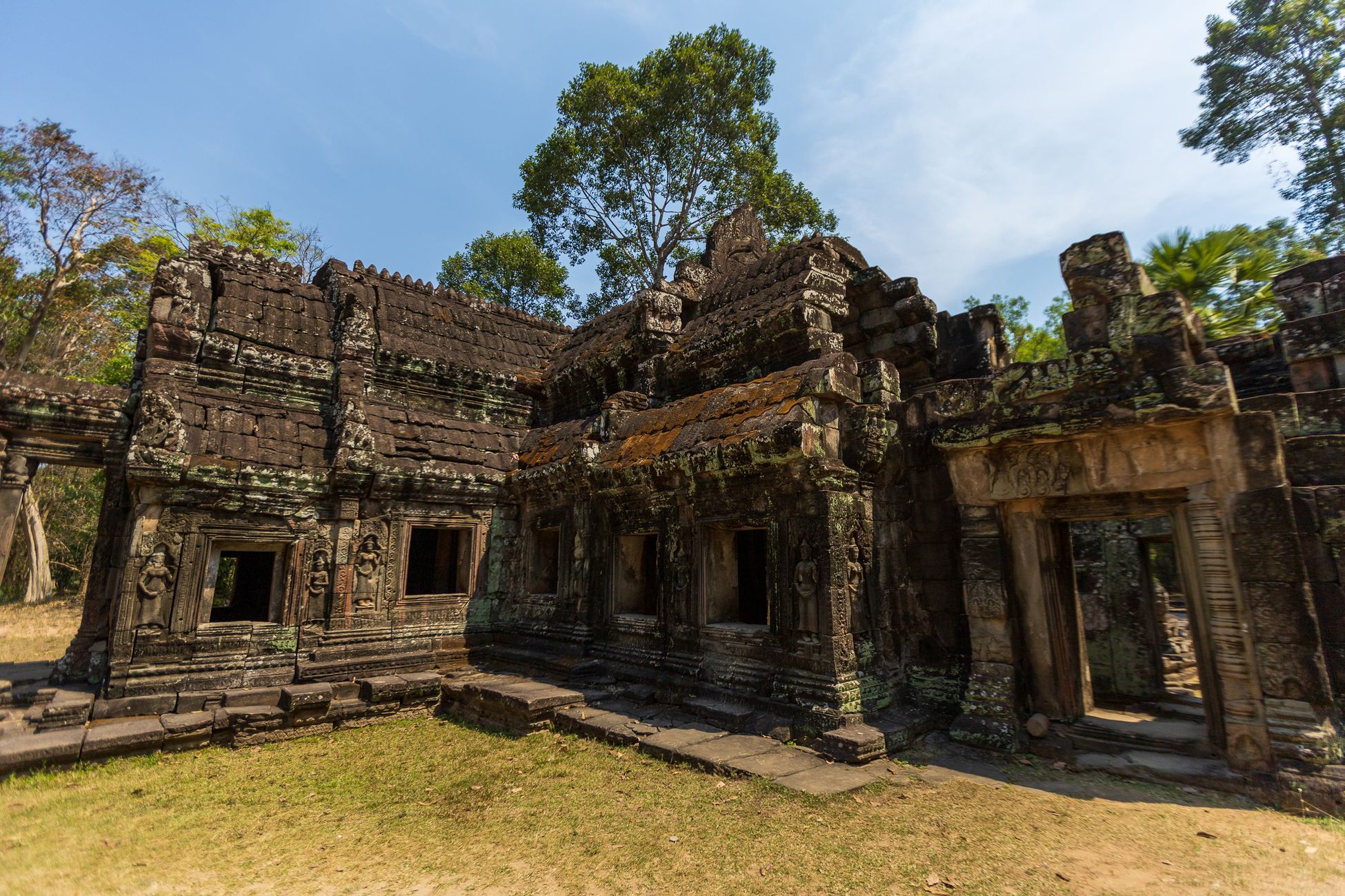 Cambogia