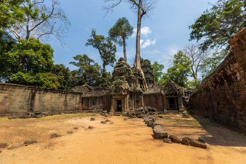 Free Explore the serene Angkor Wat courtyard with towering trees and historic ruins under a clear summer sky. Stock Photo