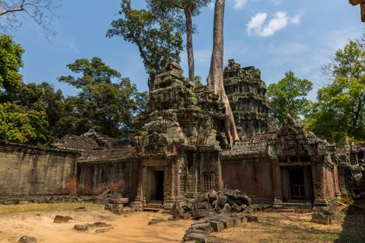 Ta Prohm and Bayon with archaeologist — Siem Reap