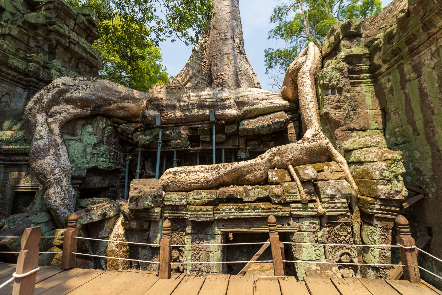 Cambodia photo 3