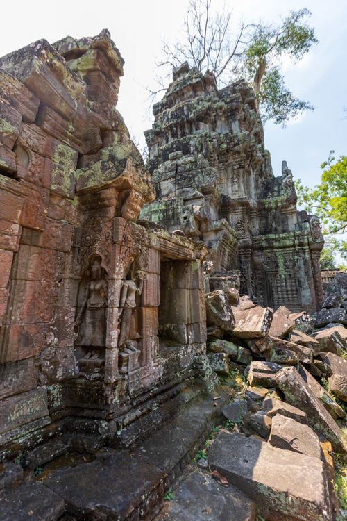 Free Intricate stone carvings of the Ta Prohm temple ruins surrounded by lush greenery. Stock Photo