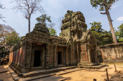 Free Explore the enchanting ruins of Ta Prohm temple, intertwined with towering trees in Cambodia. Stock Photo