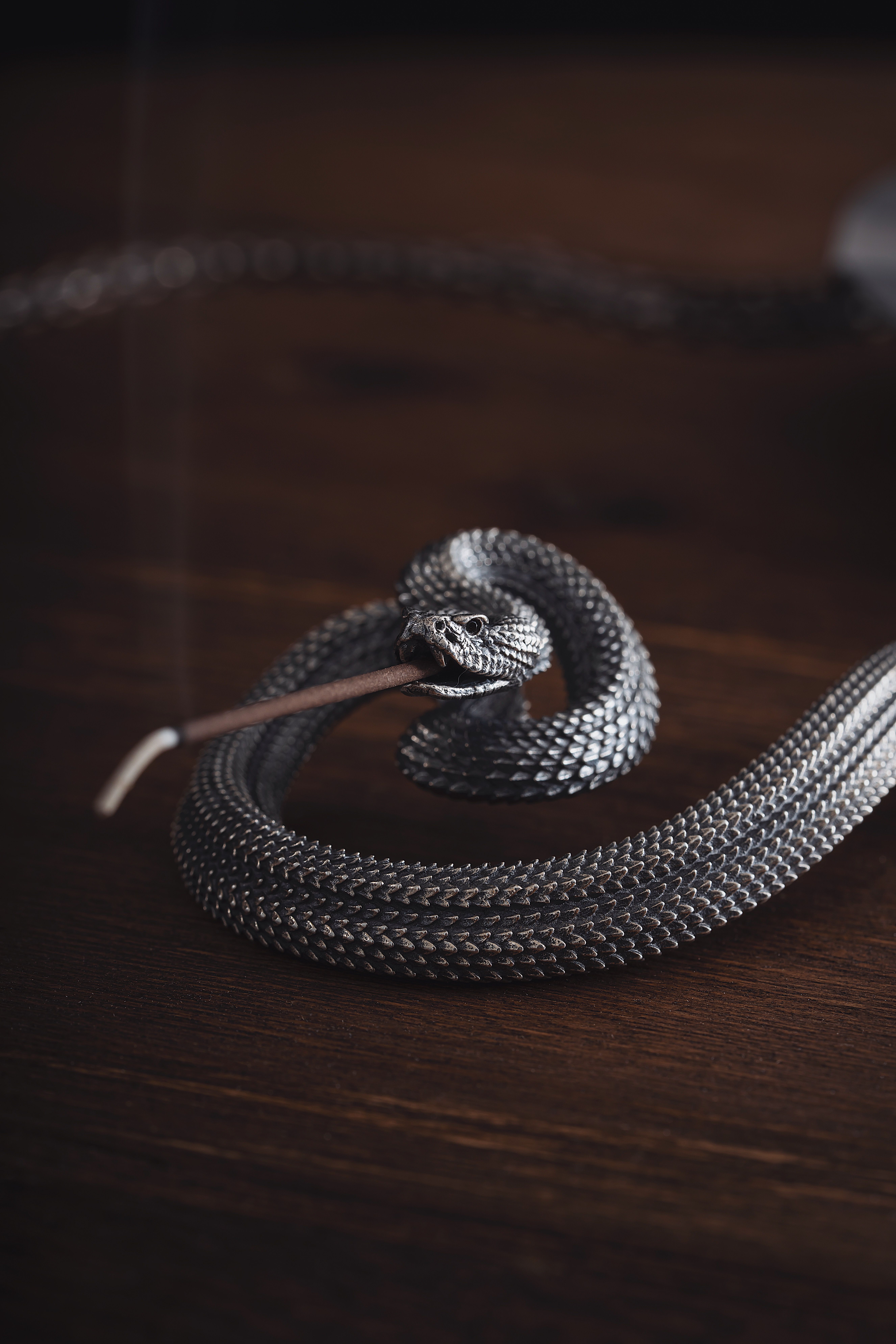 Silver Snake in a Box · Free Stock Photo