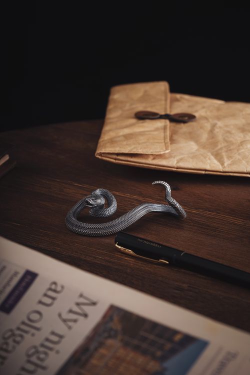 Free A stylish desk arrangement featuring a metallic snake figurine, pen and newspaper on a wooden surface. Stock Photo