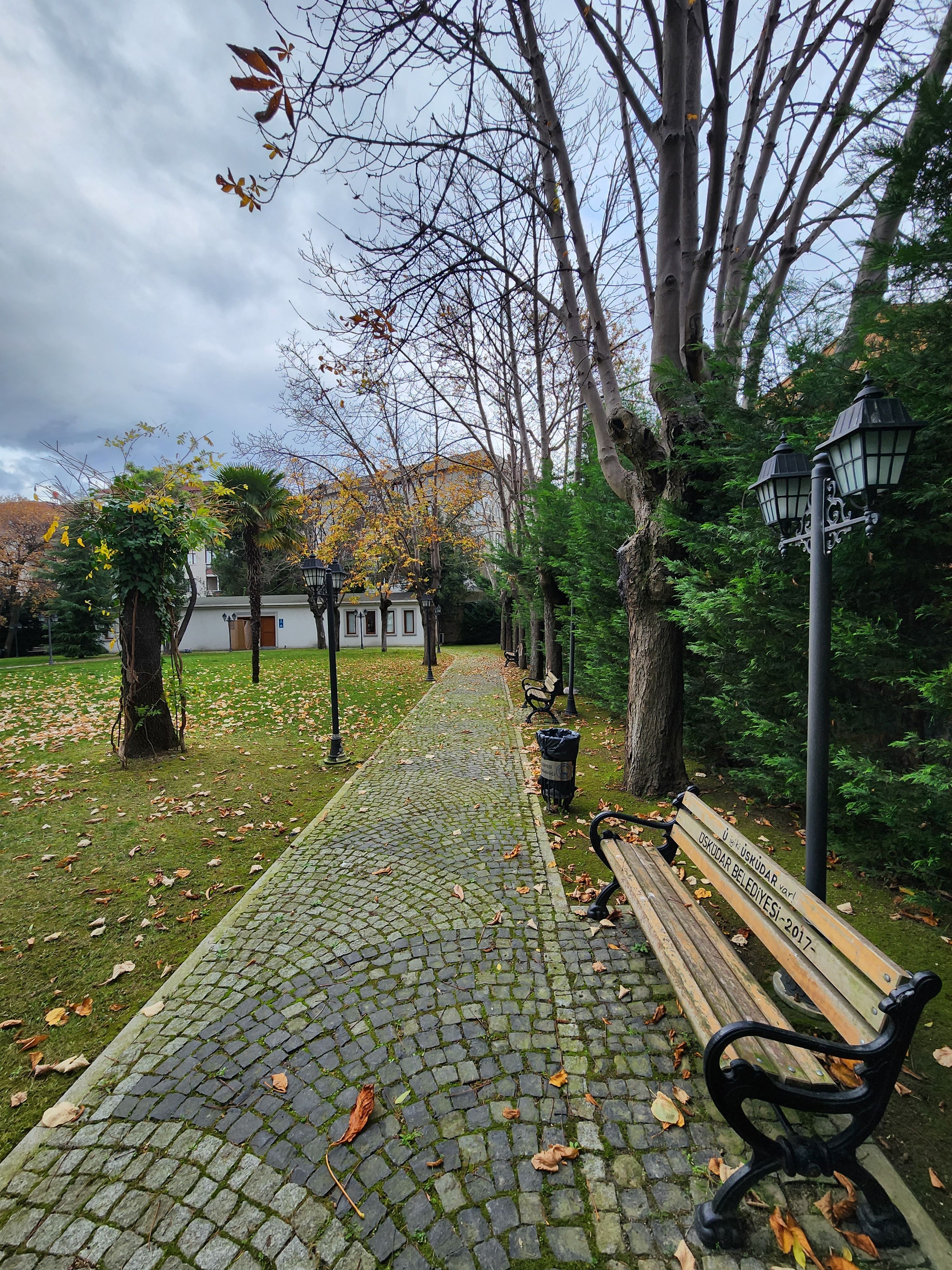 Paved Alley and Benches in Autumn Park · Free Stock Photo