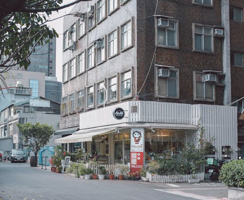 Gratis stockfoto met bloemenwinkel, fabrieken, gebouw