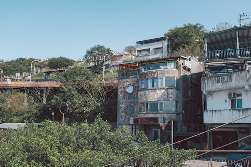 Foto profissional grátis de árvores, casas, céu azul