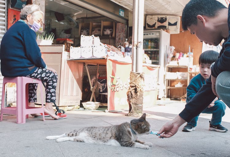 Man Feeding Cat