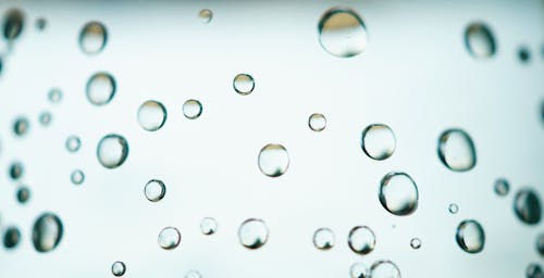 Základová fotografie zdarma na téma bubliny, čirý, dešťové kapky