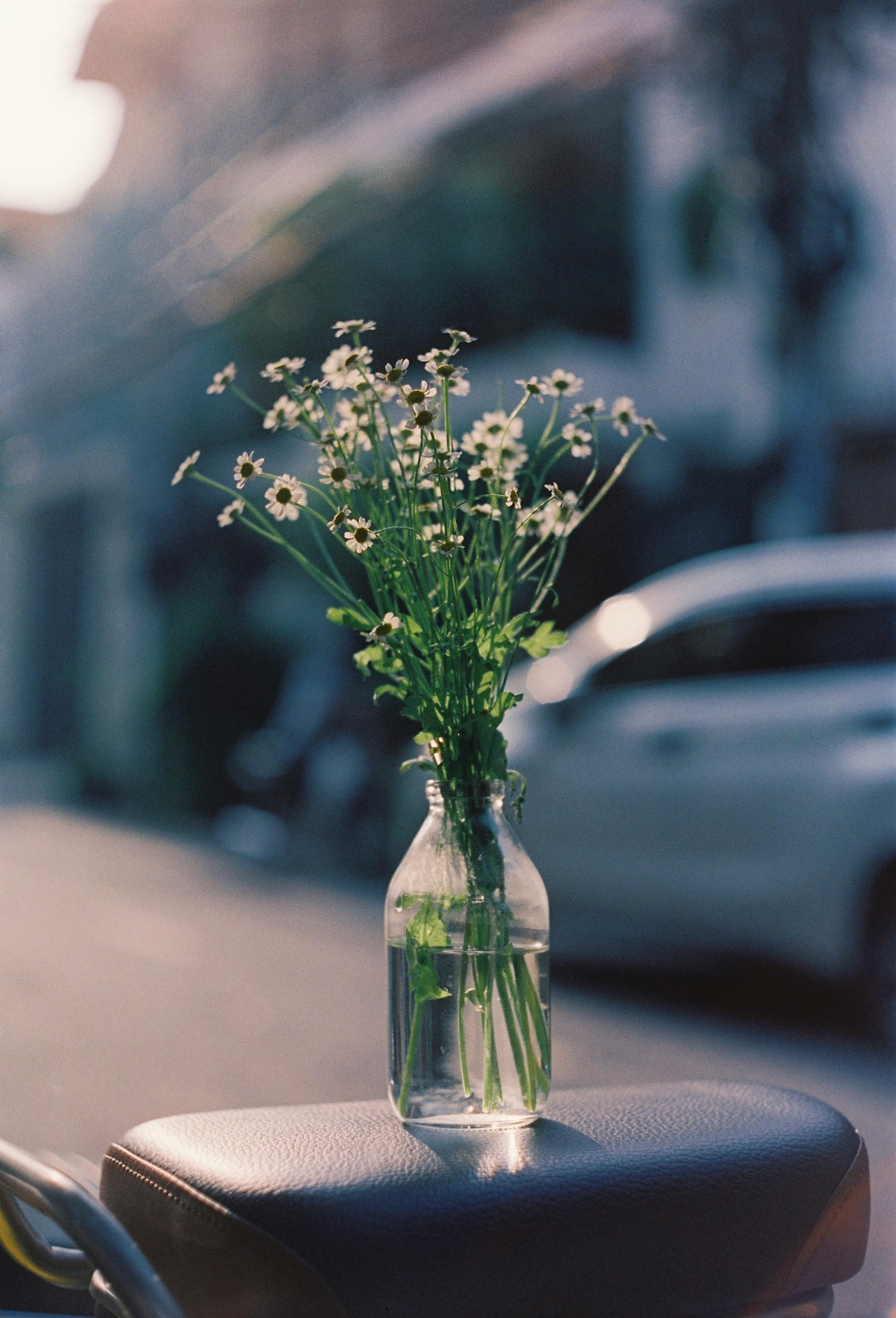 A bouquet of daisies in a glass jar sits on a motorcycle seat on city streets.