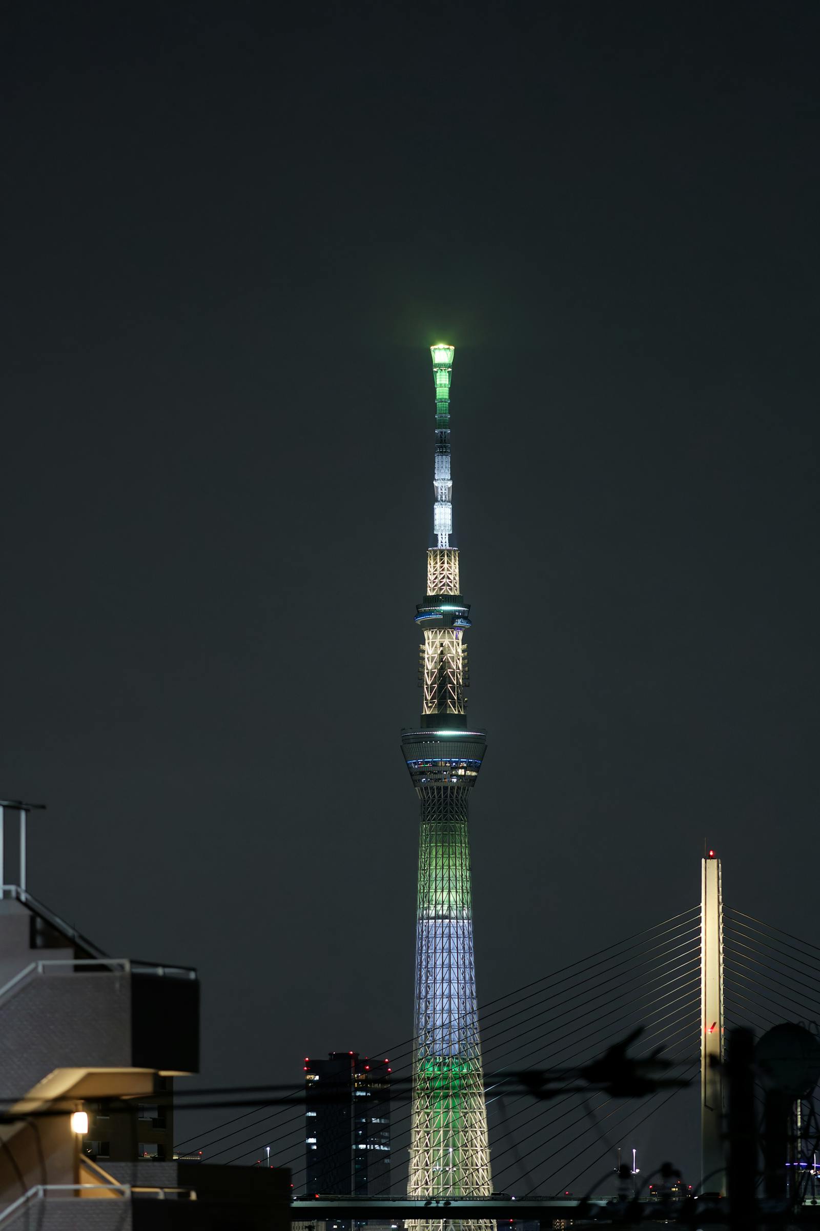 skytree view at night