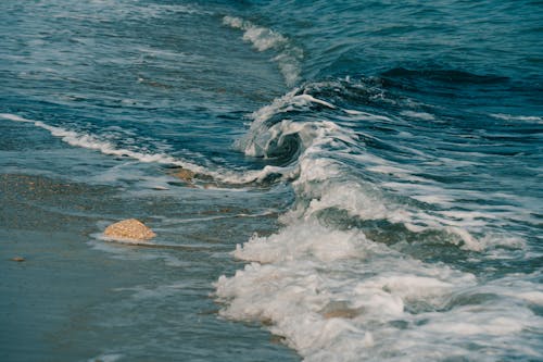 Waves Splashing on Seashore