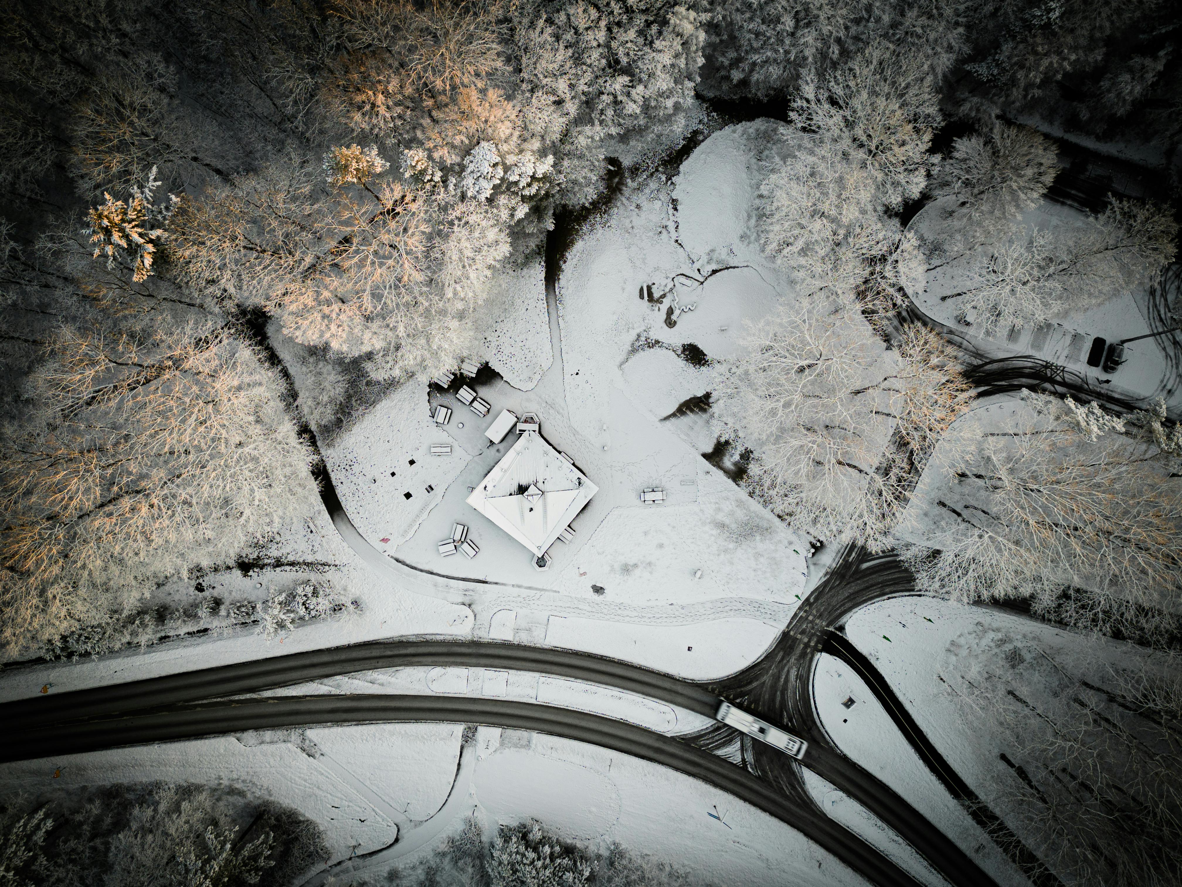 road in forest in winter