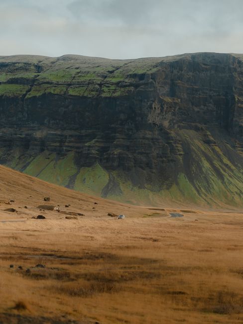Stunning Icelandic landscape featuring towering cliffs and golden fields under a cloudy sky.