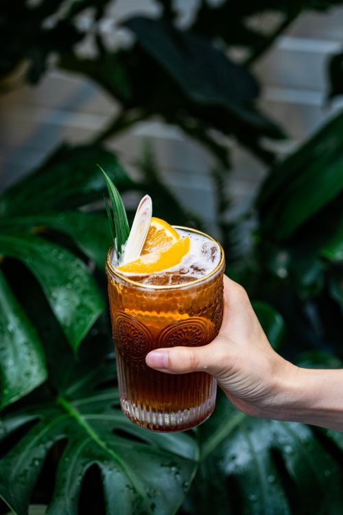 Free Hand holding an iced tea with citrus slices and natural green backdrop Stock Photo