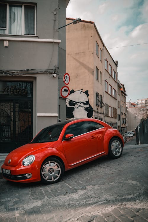 Photos gratuites de beetle, pavage de la rue, rue