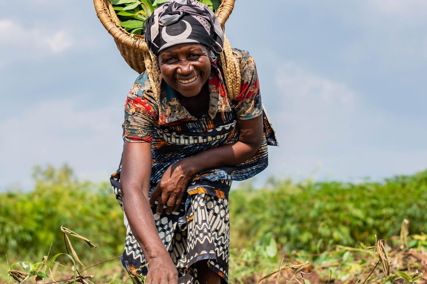 Photo de stock illustrant le travail agricole en Afrique, les cultures ou les soins aux plants