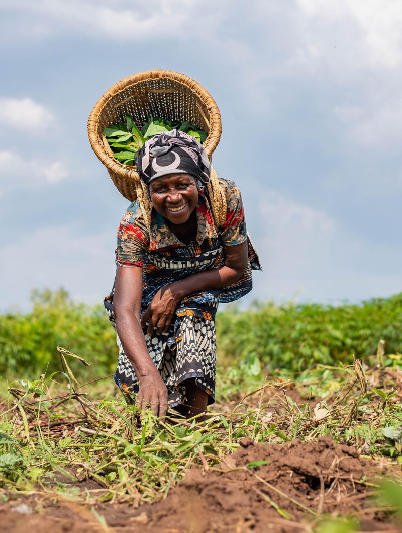 Productrice partenaire dans un champ au Cameroun