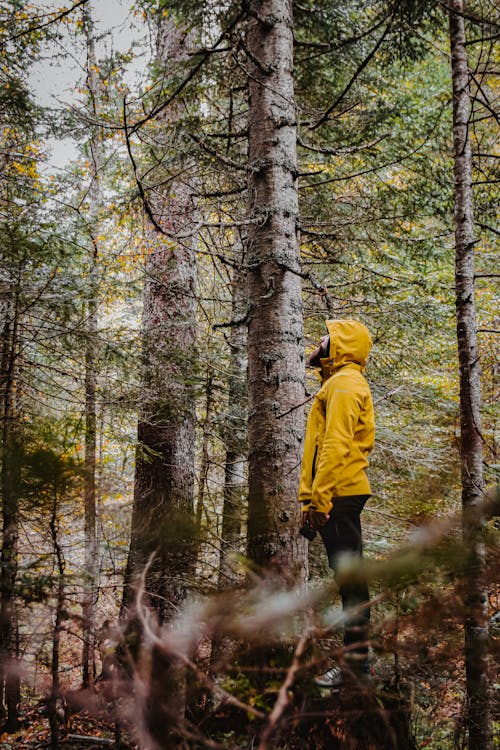 A Man in a Yellow Jacket in a Forest