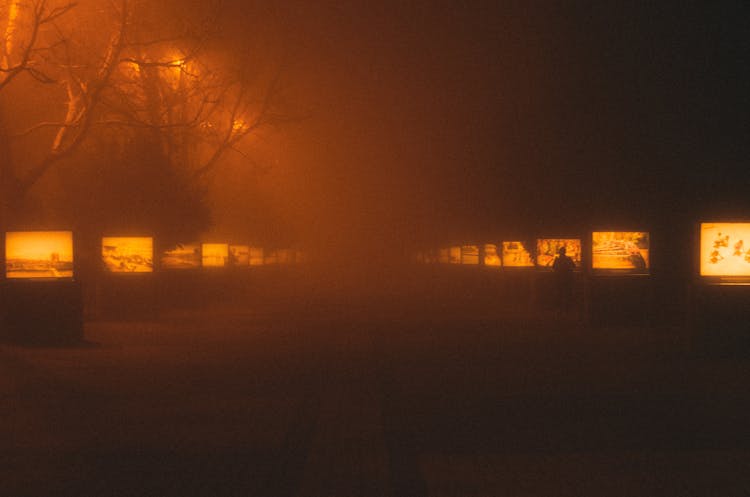 Baku Boulevard At Night Under Fog