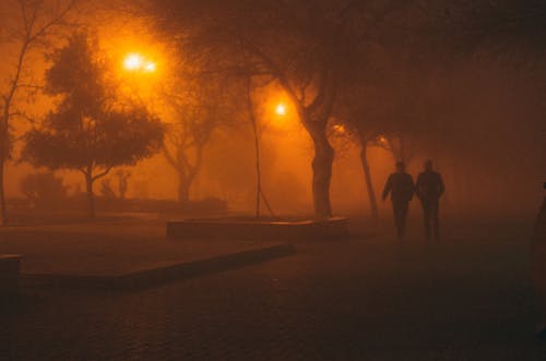 People Walking in Park at Night