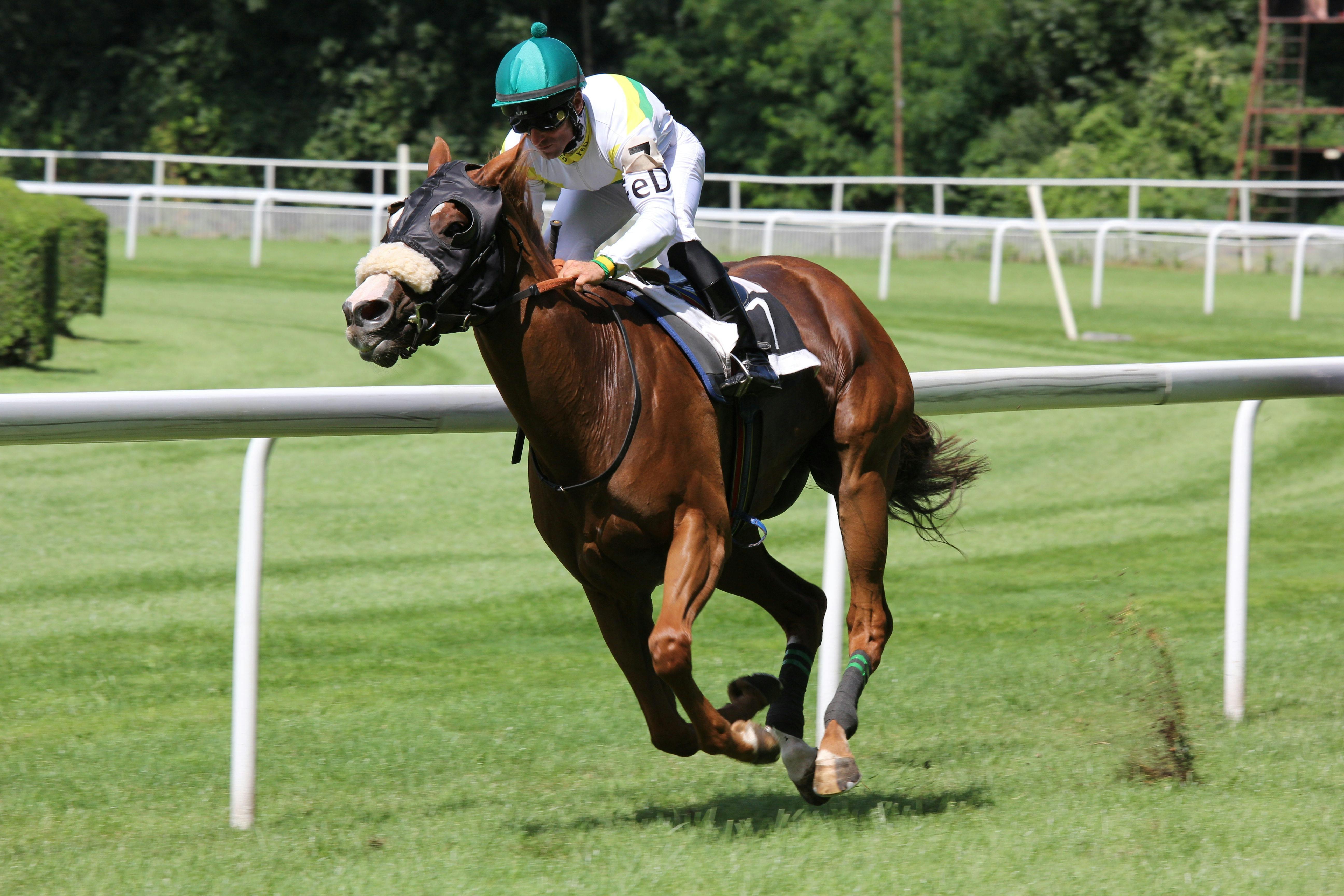 Mauritius Turf Club Horse Racing, Festivals and Events in Mauritius in August