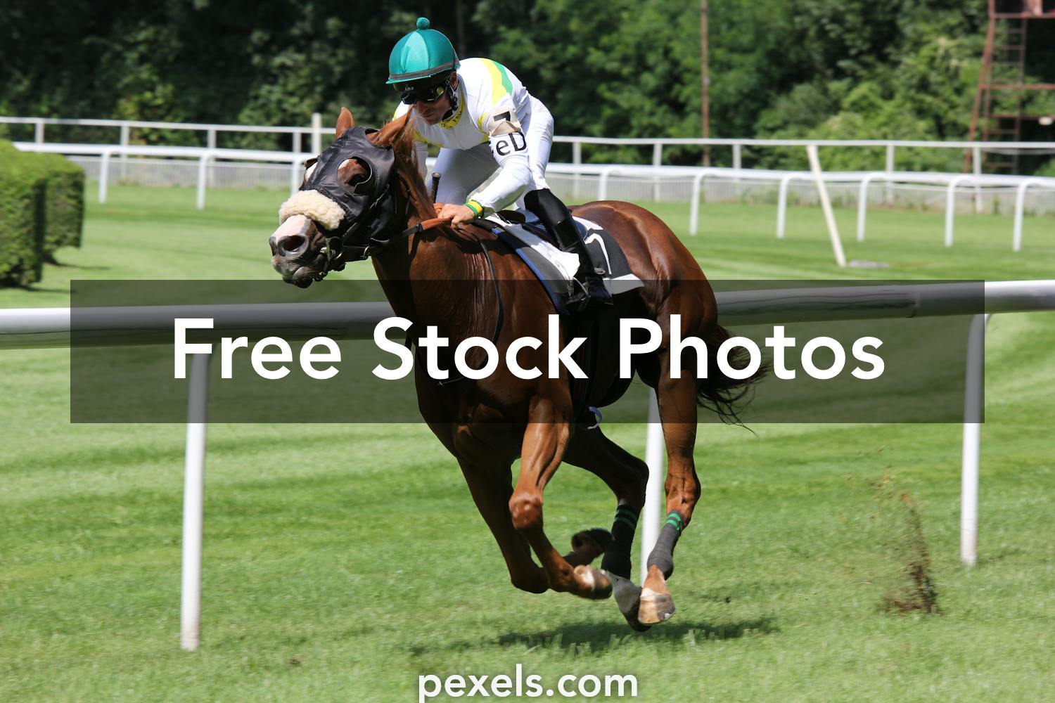 1000+ Great Horse Racing Photos Pexels · Free Stock Photos