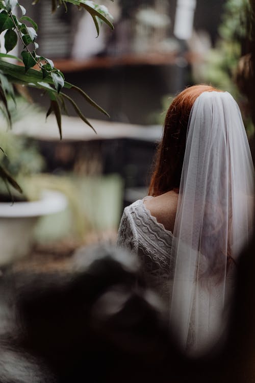 Bride with White Veil in Back View