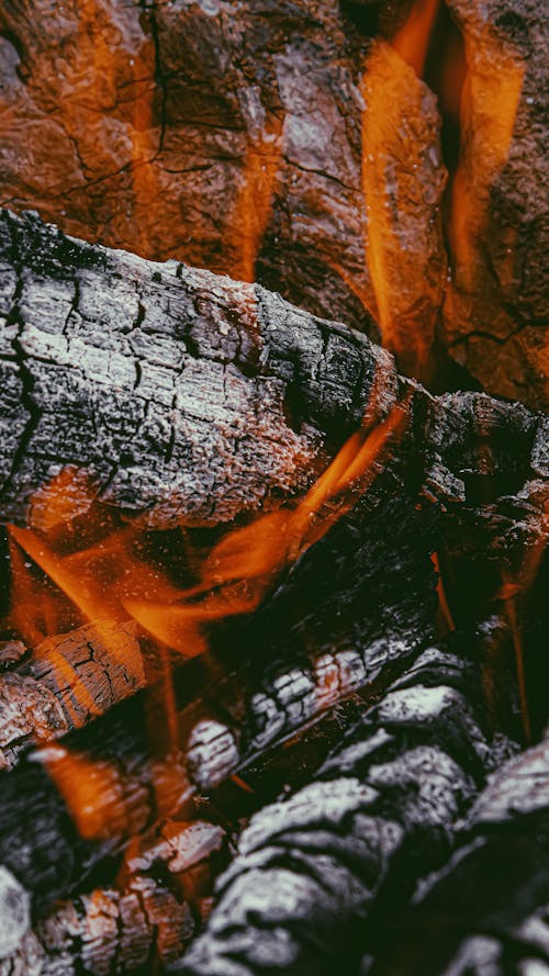 Kostenloses Stock Foto zu brennendes holz, brennholz, flamme