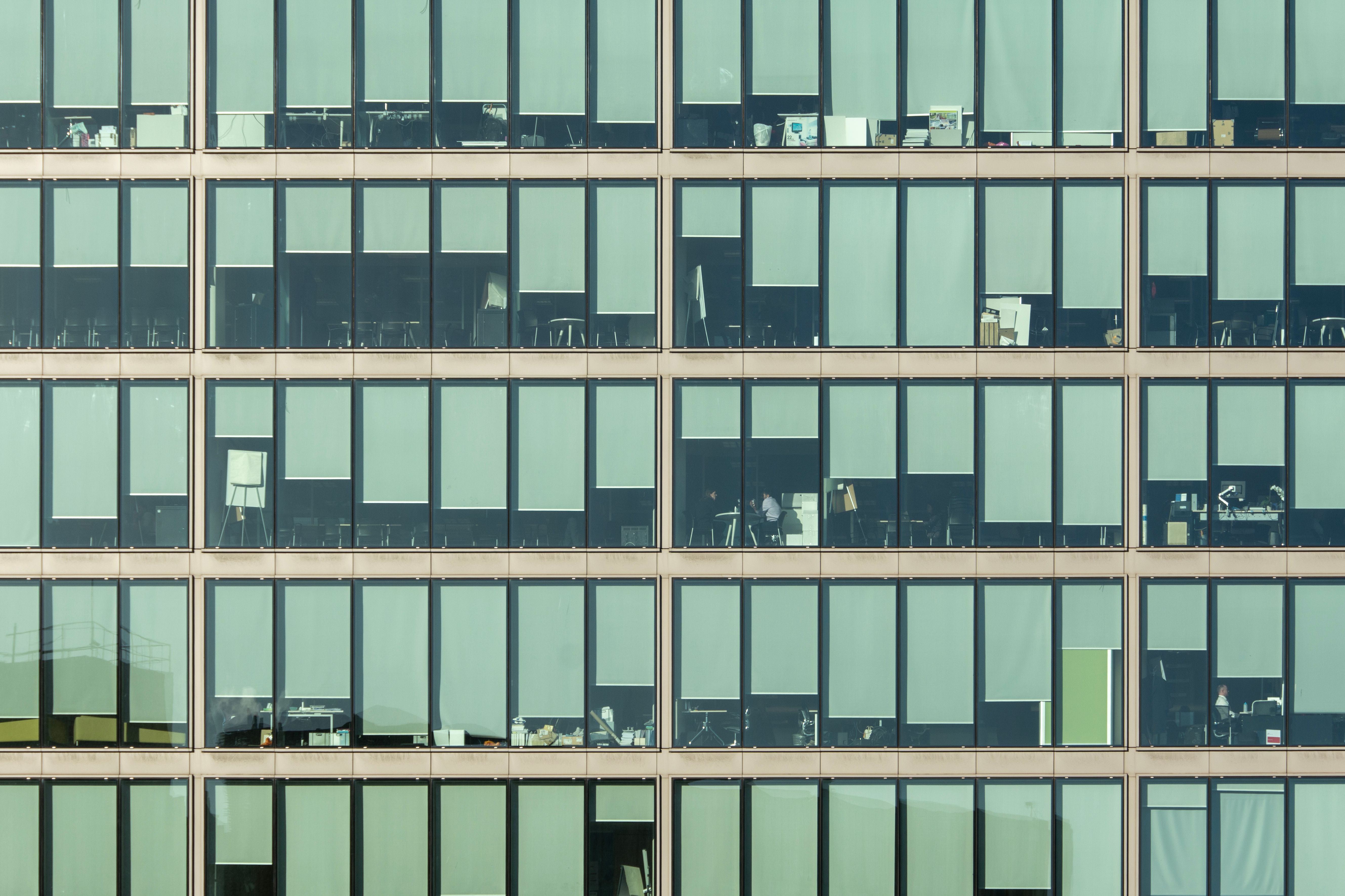 Photo by Jan van der Wolf on Pexels