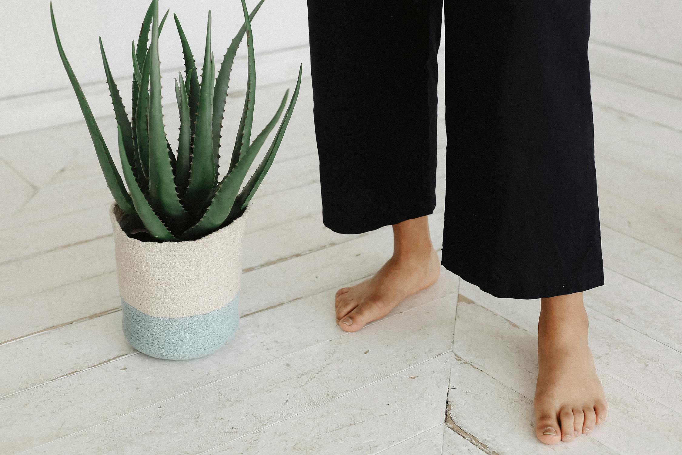 Girl with Aloe Vera Photo by Daria Shevtsova from Pexels