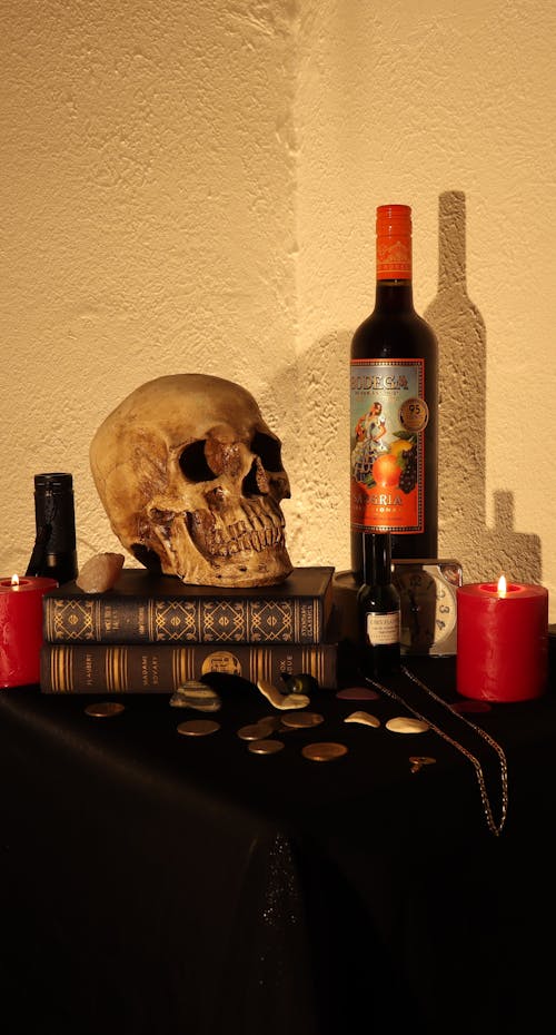 Foto d'estoc gratuïta de calavera, composició, decoració