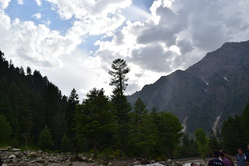 Základová fotografie zdarma na téma naran, pákistán