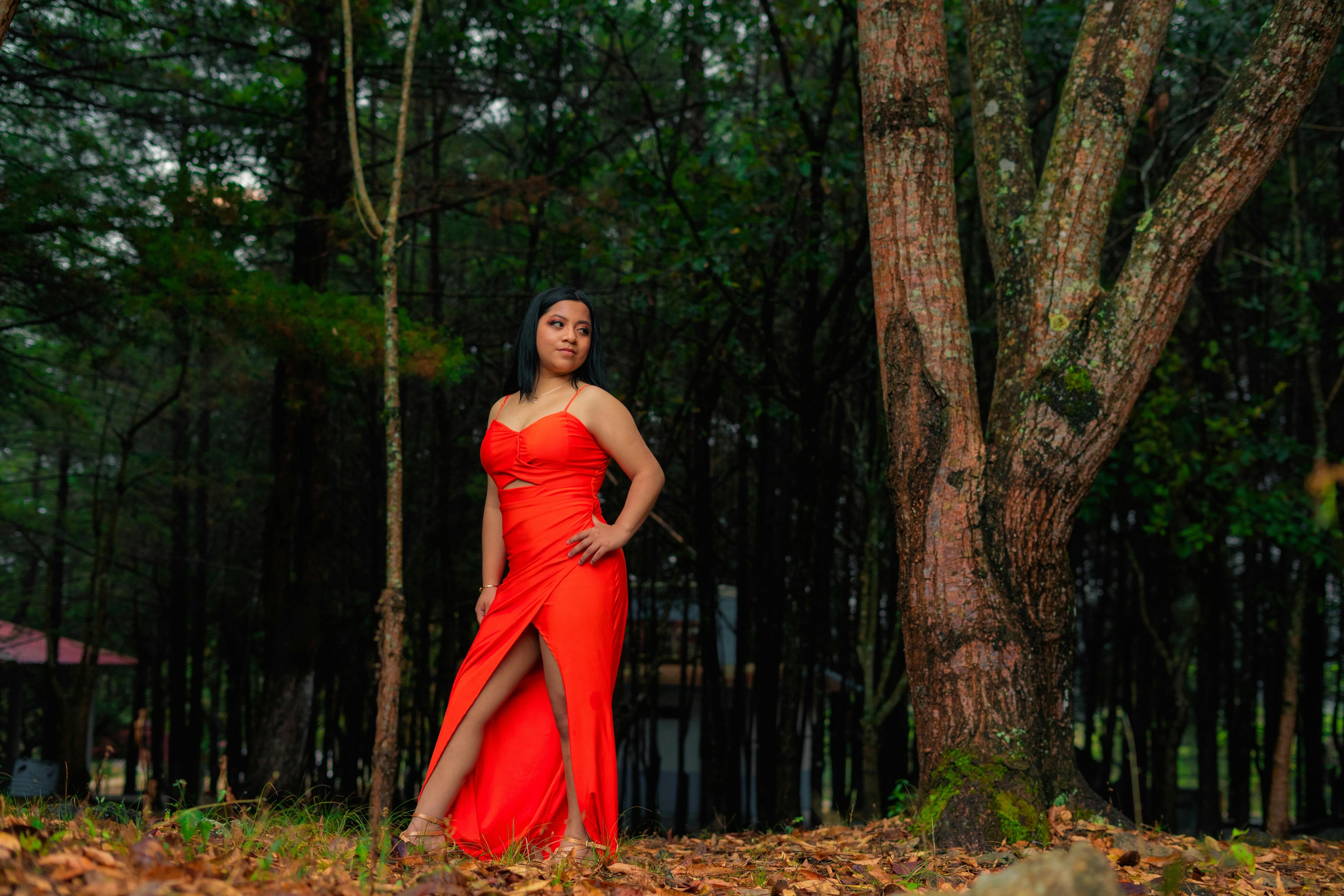 Brunette in Long Red Dress · Free Stock Photo