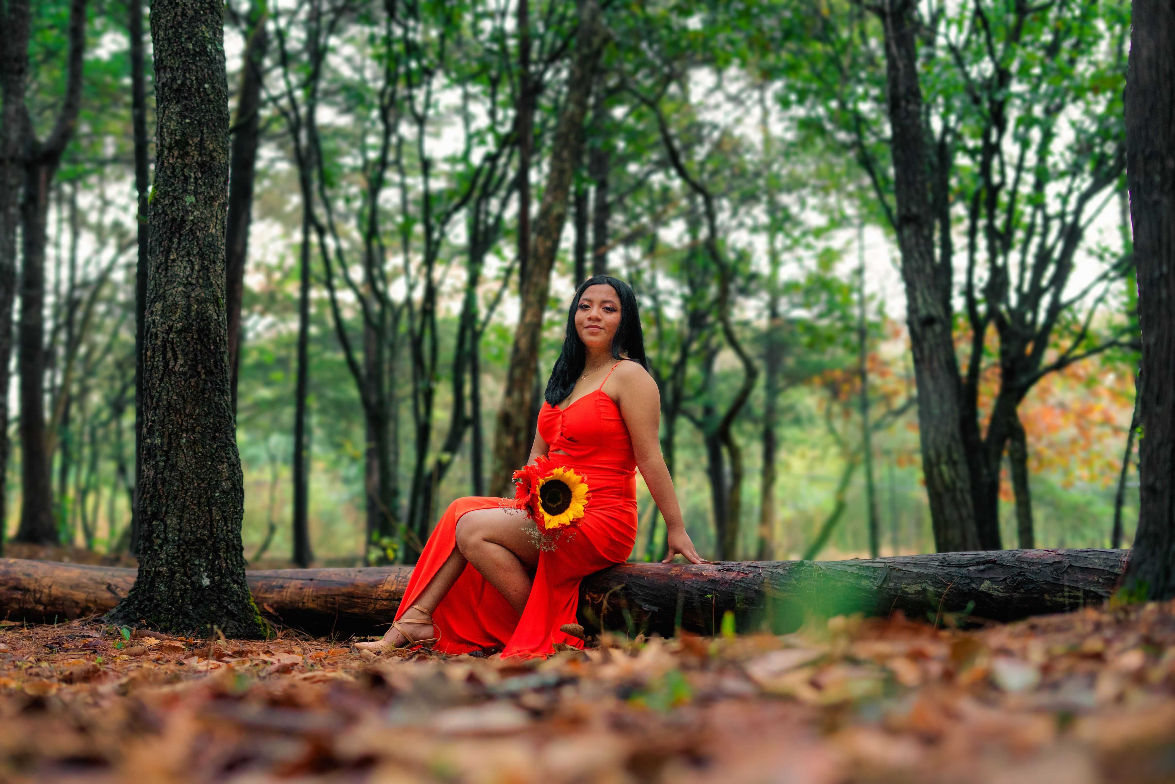 Female Model Wearing a Red Dress Posing on a Fallen Tree · Free Stock Photo