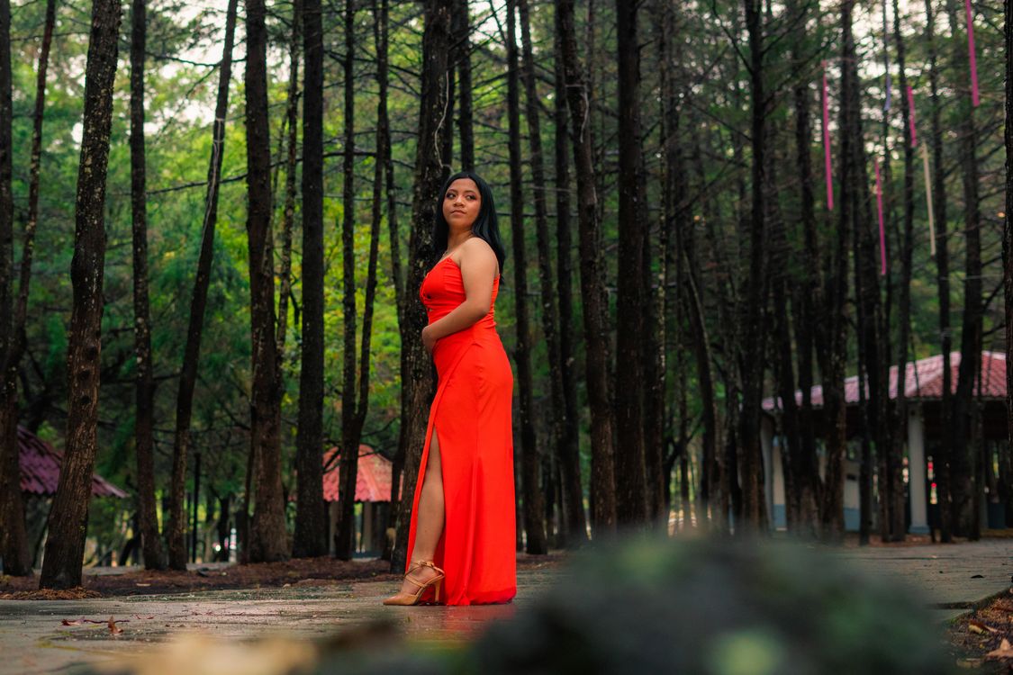 Woman Posing in Red Dress among Trees · Free Stock Photo