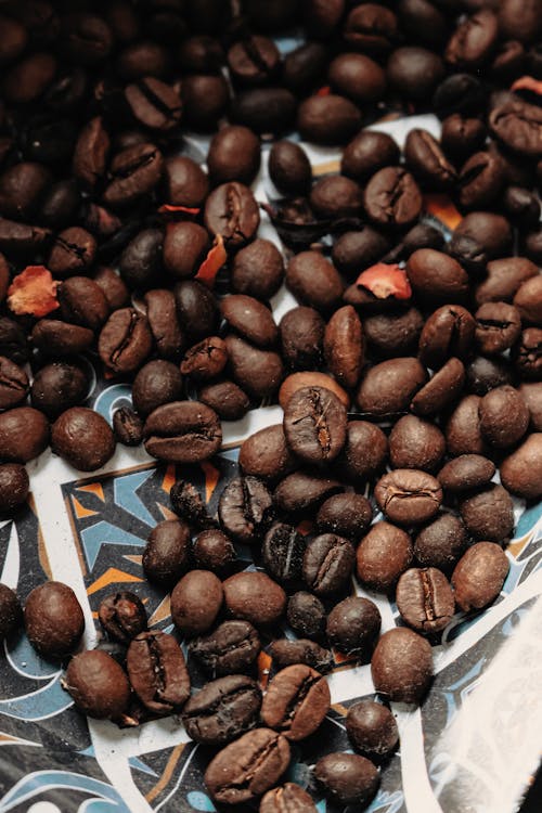 Roasted Coffee Beans