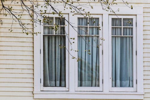 Kostnadsfri bild av fönster, gardin, grenar