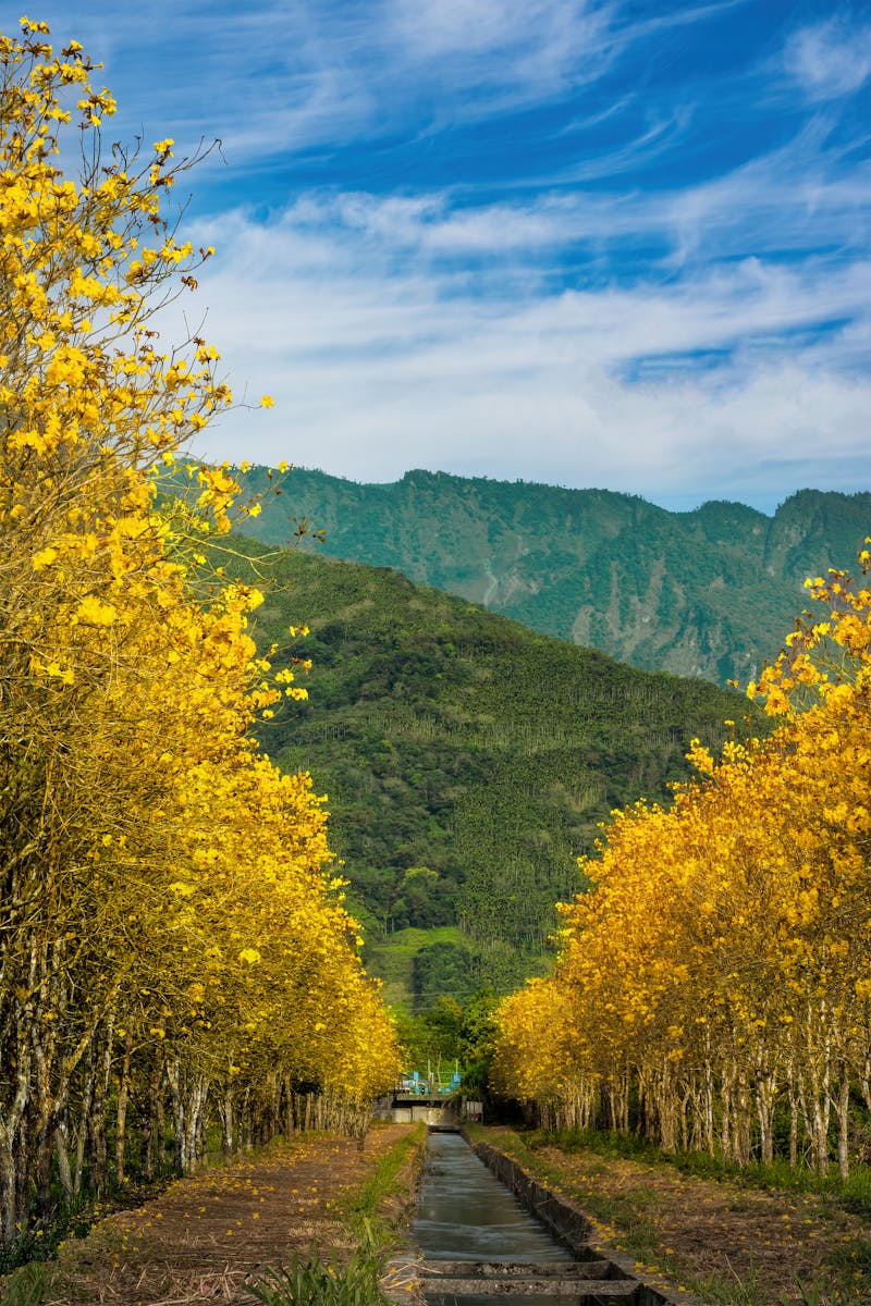 High Line Canal trail Colorado autumn Rockies view