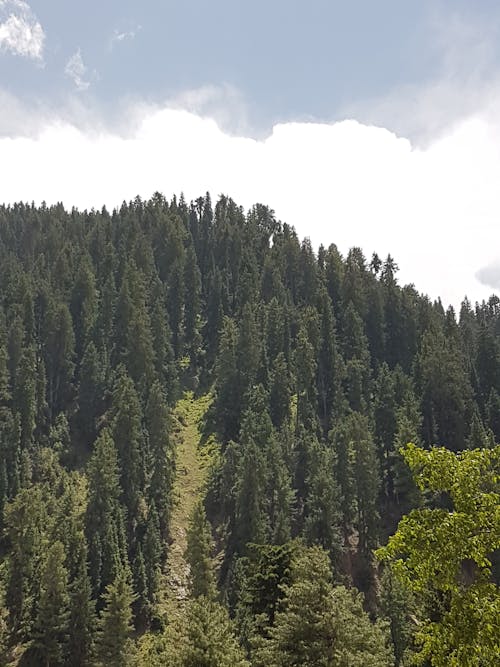 Free stock photo of cloud, green, mountain