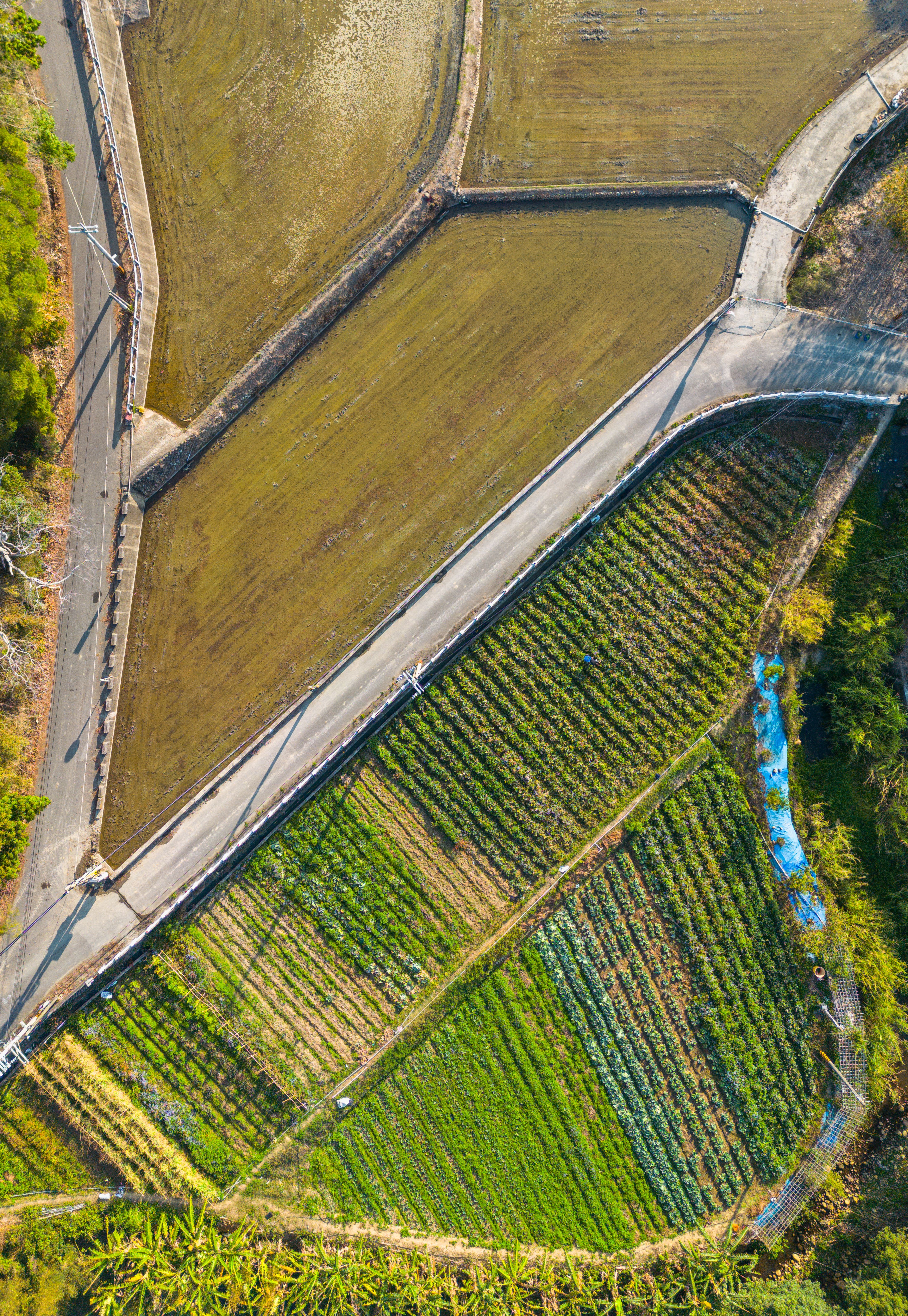 Top View of Croplands in Summer · Free Stock Photo