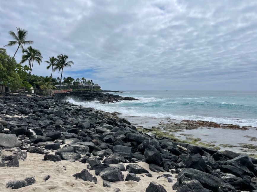 Scenic tropical beach with palm trees, rocks, and ocean waves under a cloudy sky.