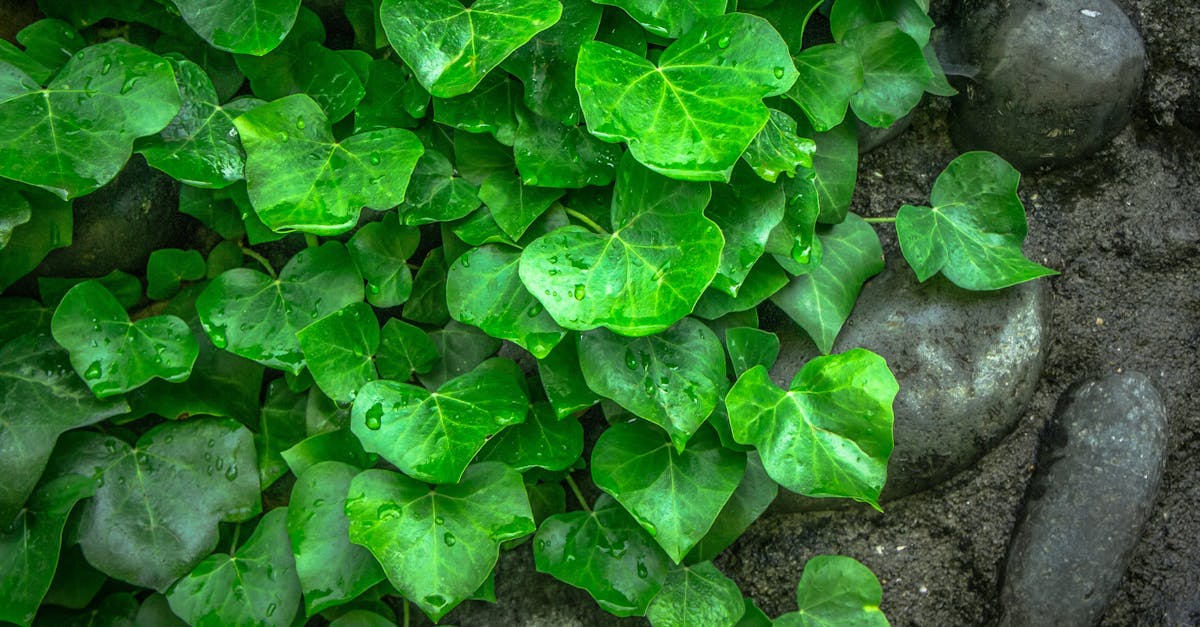 sample-blog-title-placeholder-2