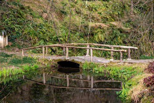 Fotobanka s bezplatnými fotkami na tému drevený, lávka, lávky