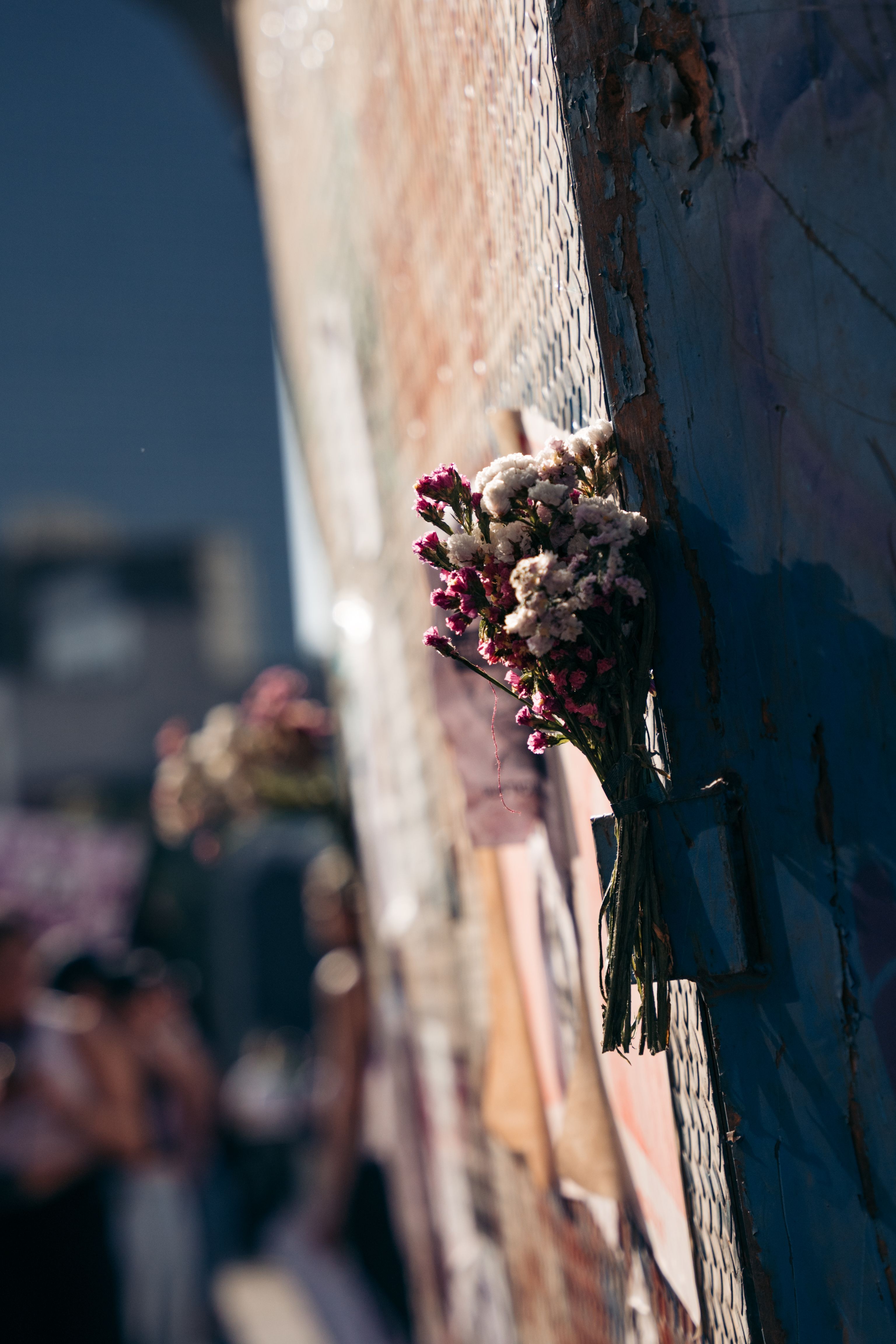 [ColoSach]-bouquets-of-flowers-attached-to-a-wall-with-background-in-mexico-city,-capturing-a-moment-of-reflection.