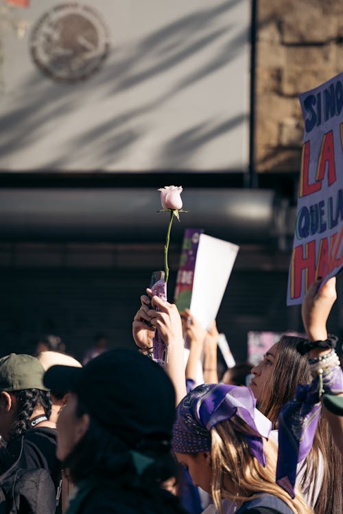 Gratis stockfoto met autorally, betoging, demonstranten