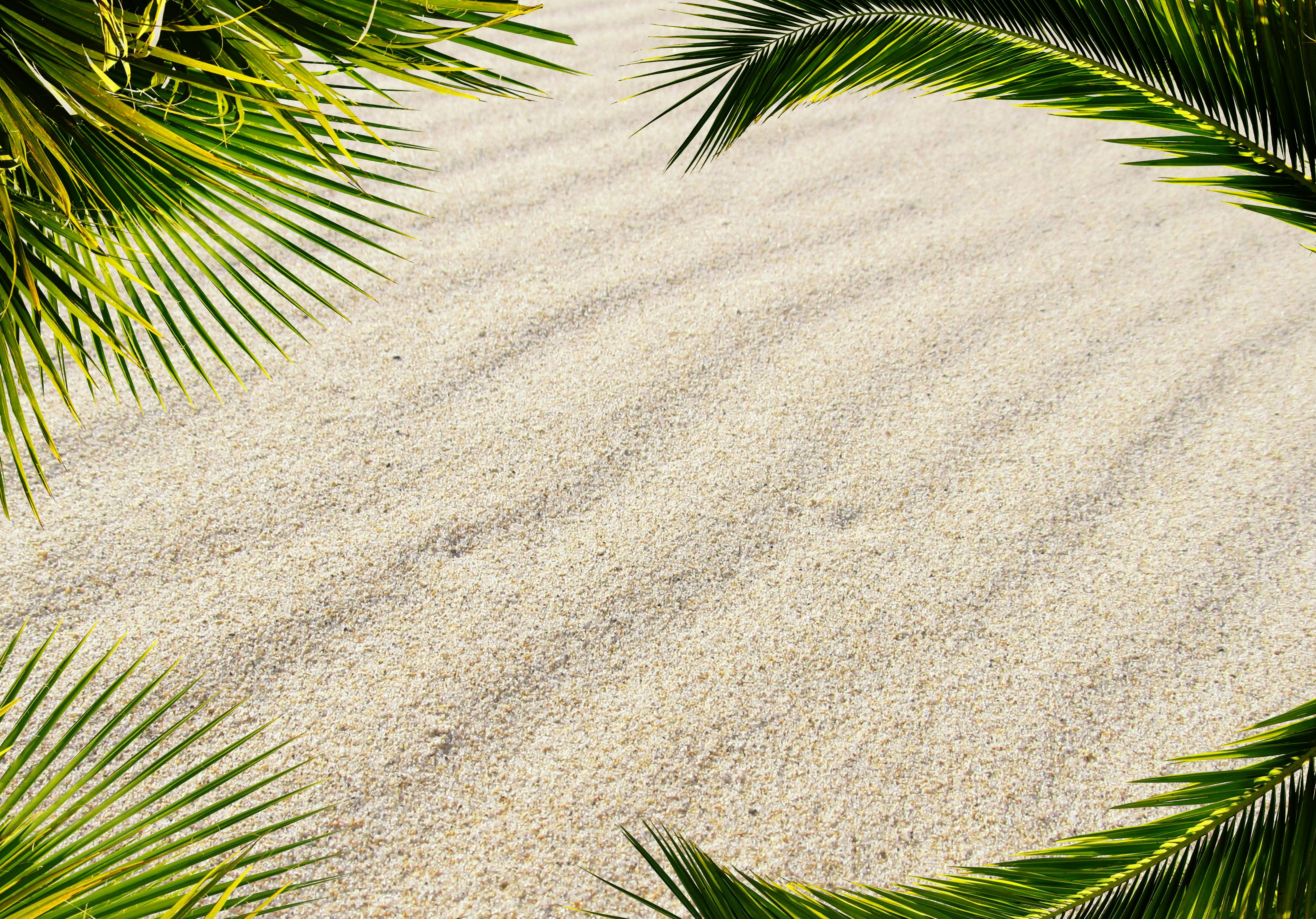 Unduh 95+ Background Kartu Ucapan Terbaik Download Background